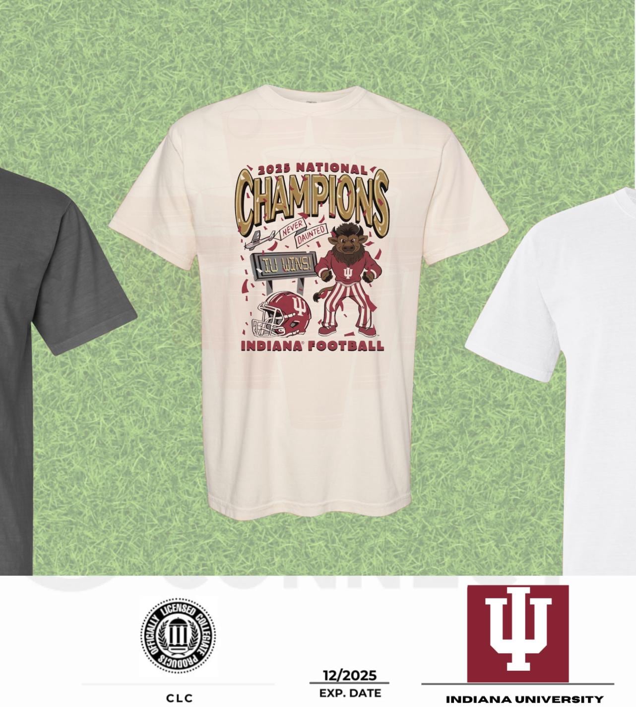 Indiana Hoosiers 2025 National Champions Tee | IU Football