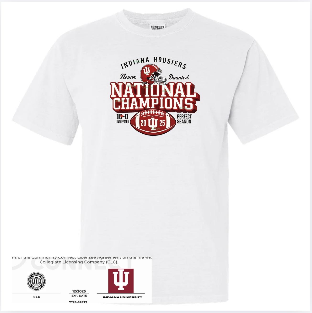 Indiana Hoosiers 2025 National Champions Tee | IU Football| HOOSIERS